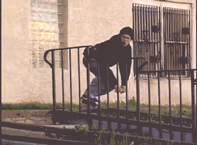 Neil Herrick, boardslide.