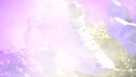 Lizzie Has A New Shoe