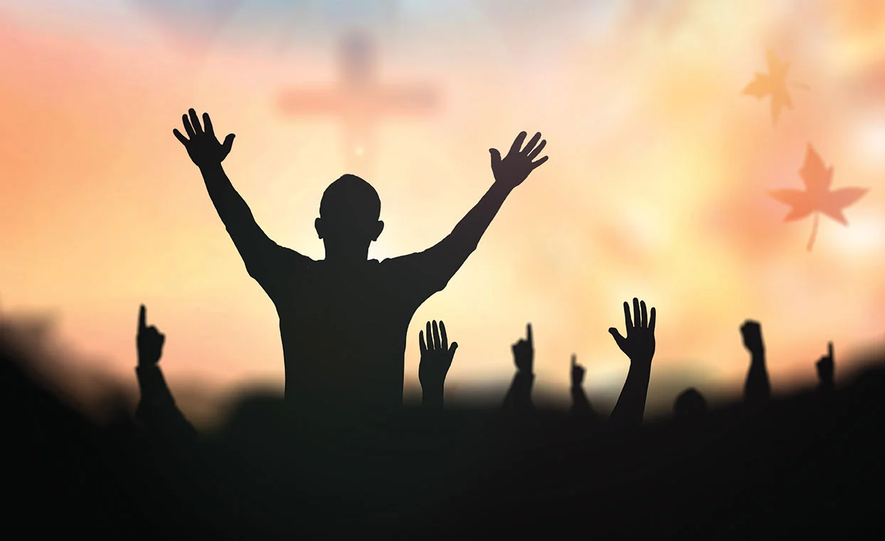 Spring Revival 