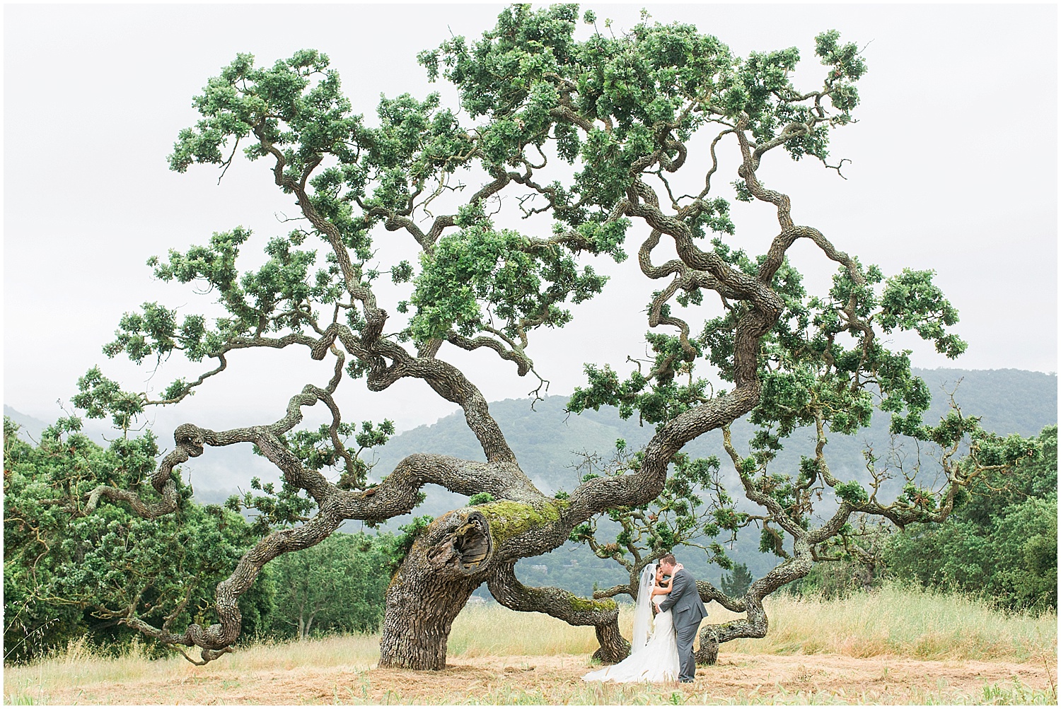 Carmel_holman_ranch_wedding_photographer-041.jpg