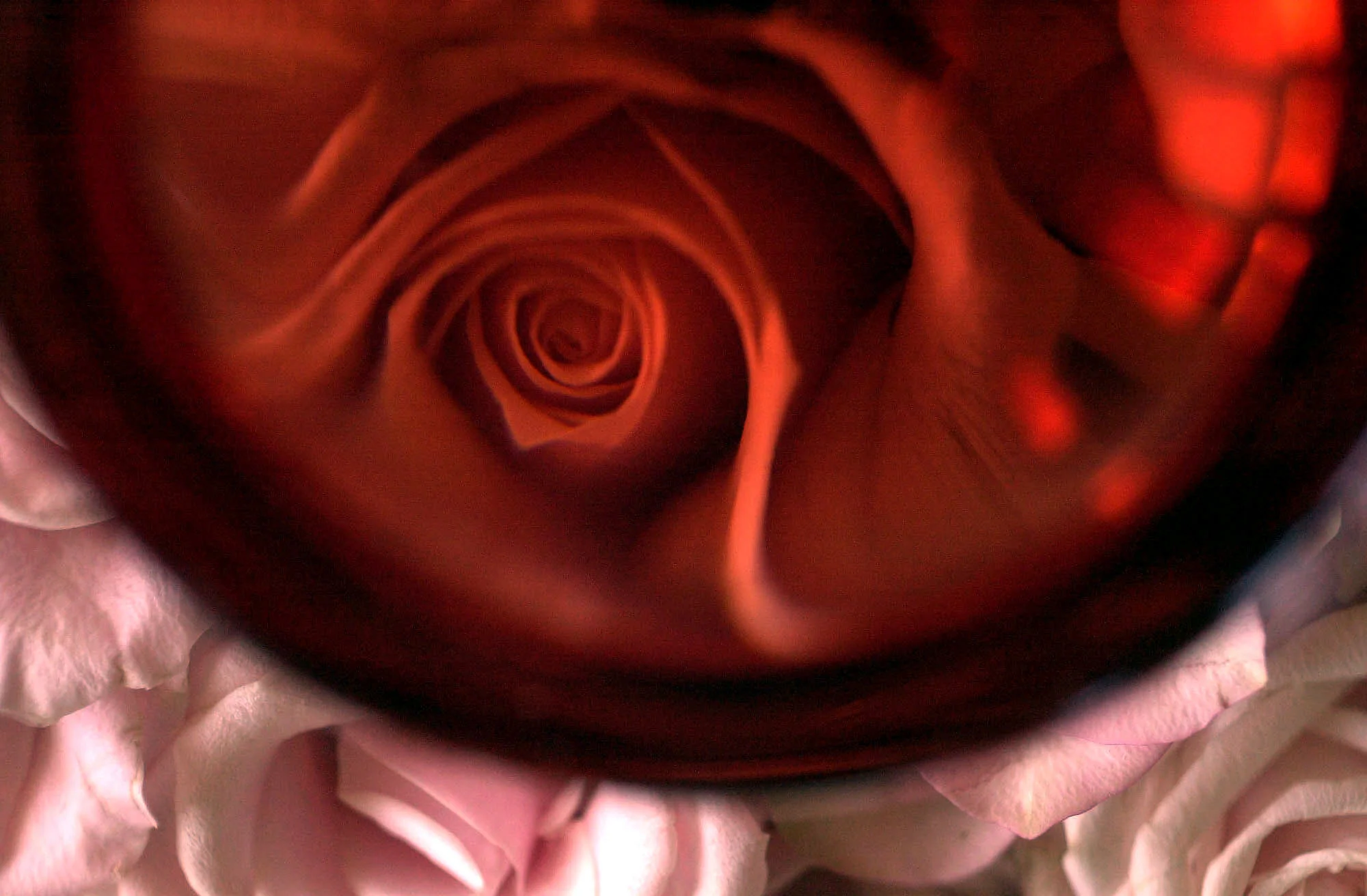 ROS E1-C-11JUNE02-FD-LA.JPG