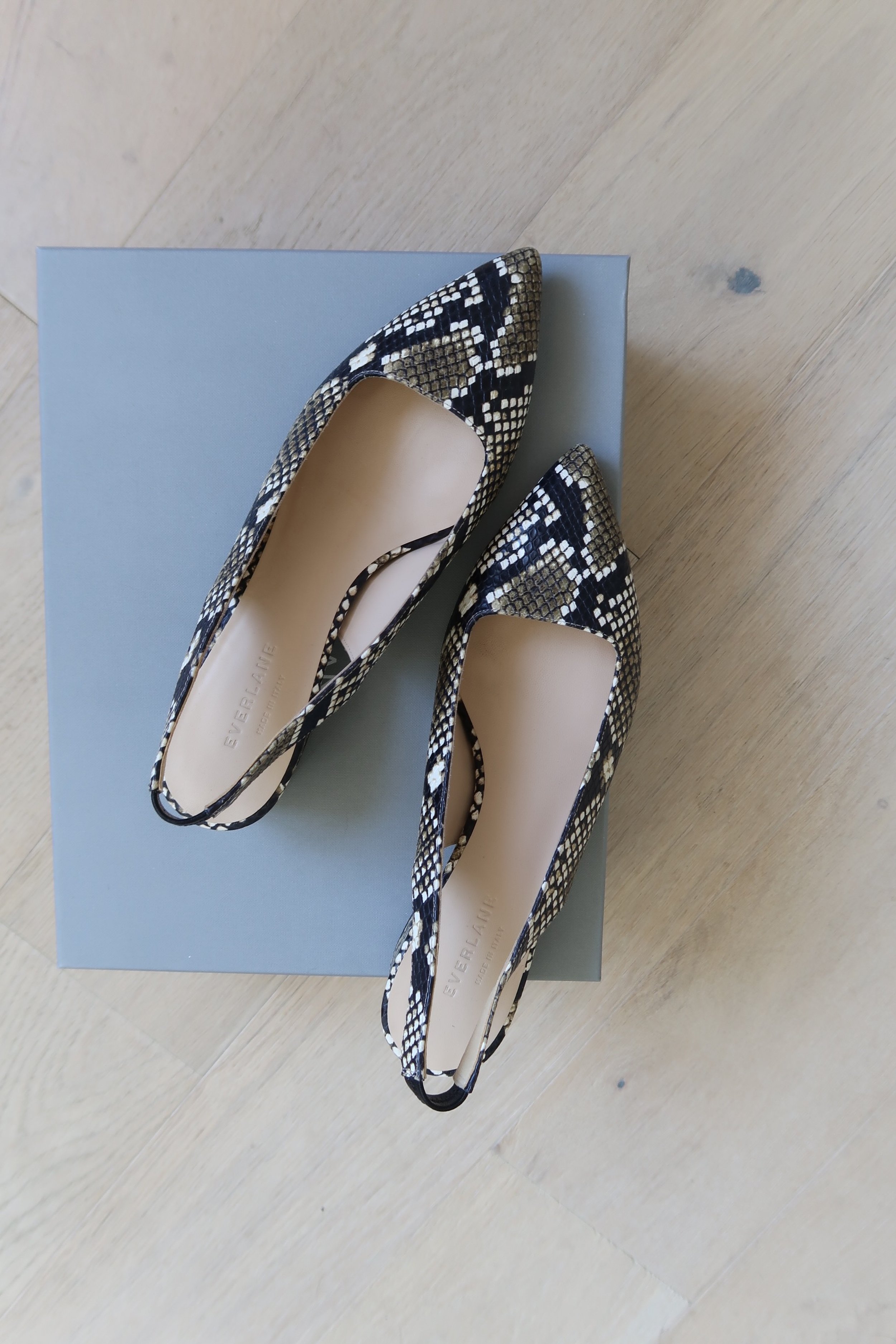 Everlane Editor Slingback Heel