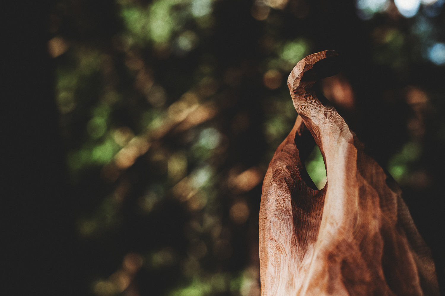Pender Island Photographer - Amber Briglio Photography - the heart of pender project part 2 (16 of 45).jpg