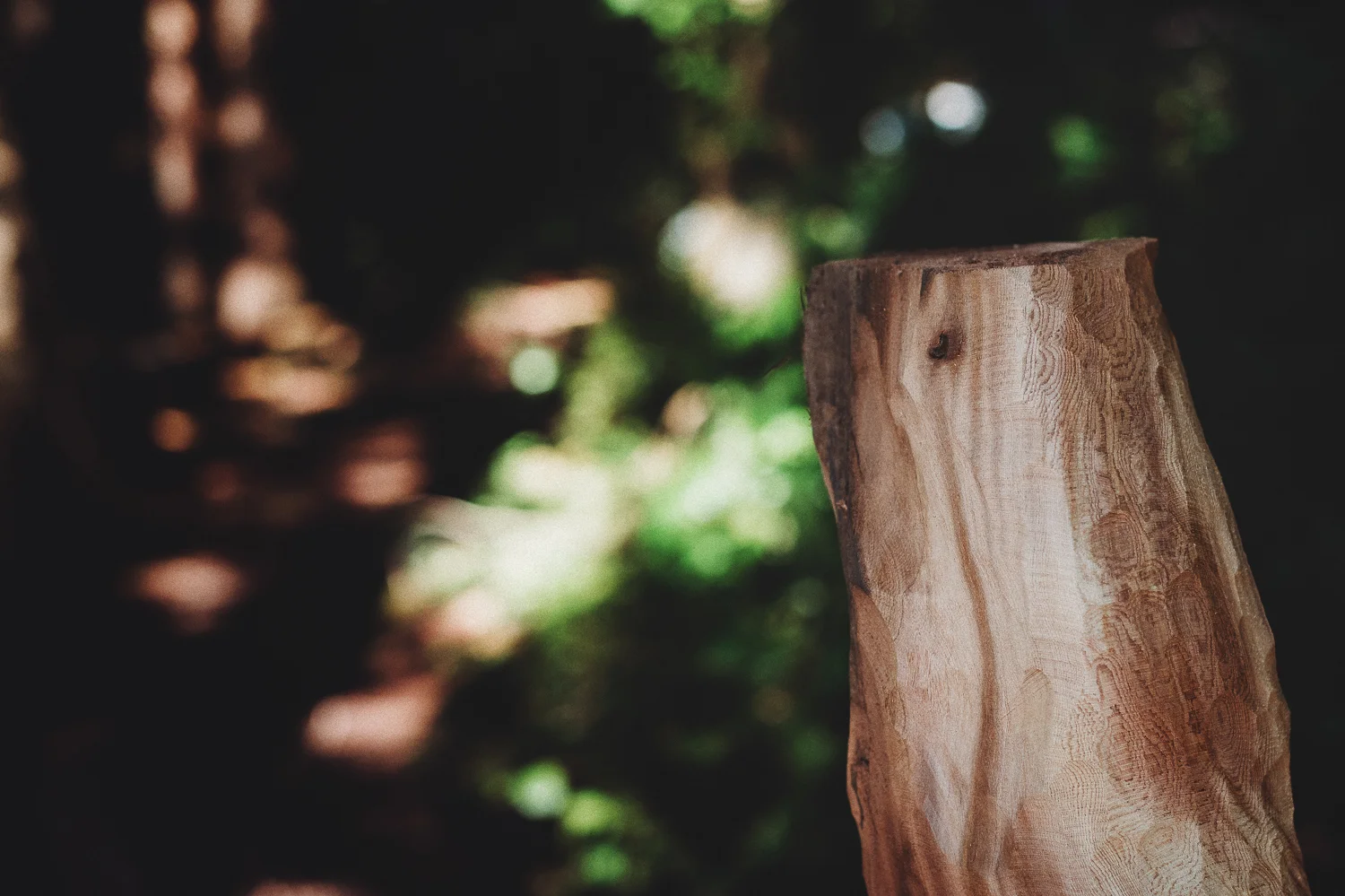 Pender Island Photographer - Amber Briglio Photography - the heart of pender project part 2 (9 of 45).jpg