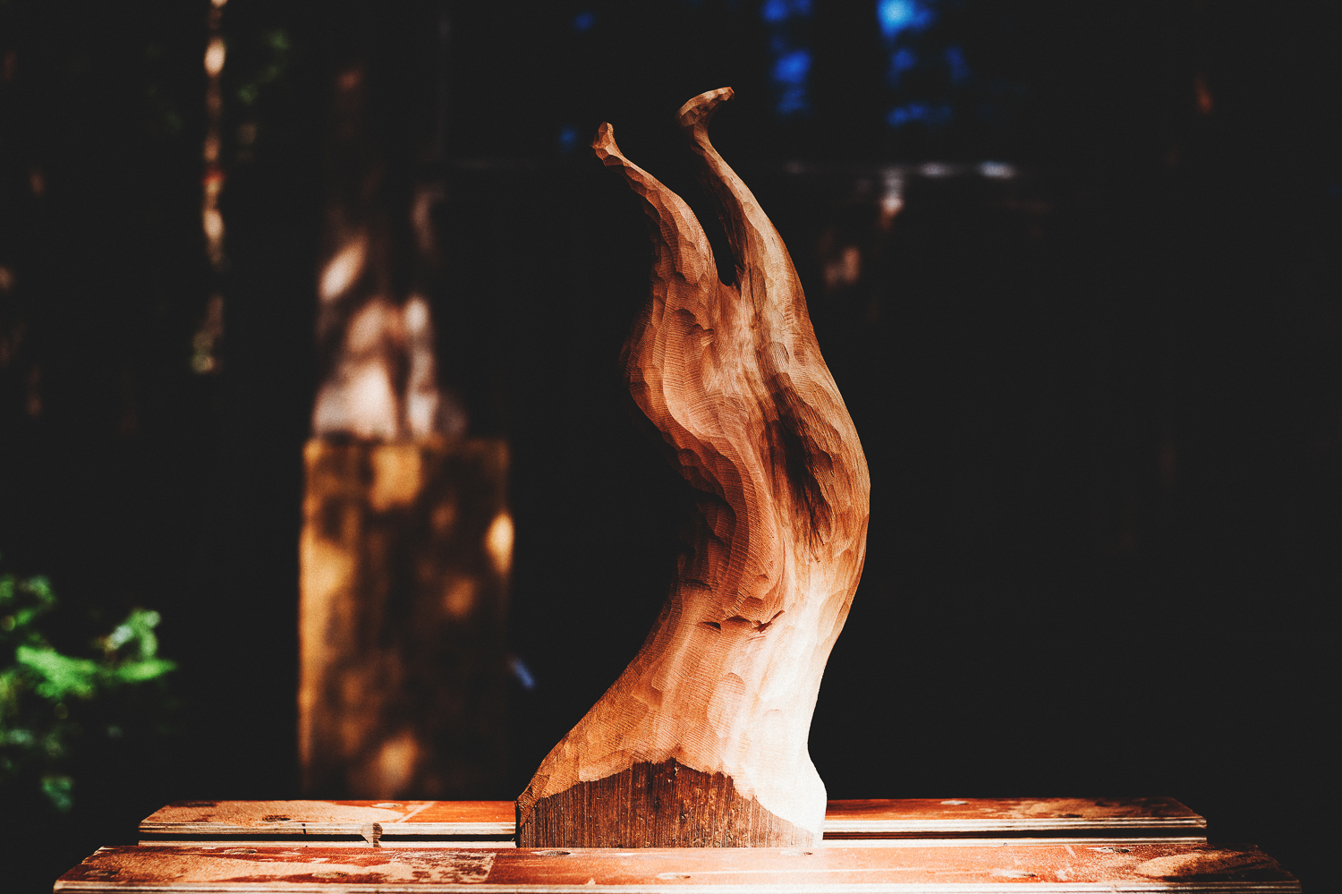 Pender Island Photographer - Amber Briglio Photography - the heart of pender project part 2 (25 of 45).jpg