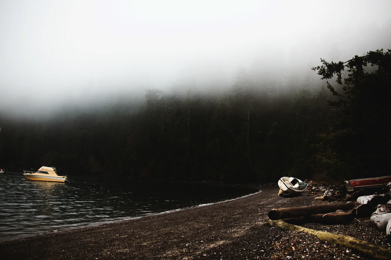 Amber Briglio Photography1_3.jpg