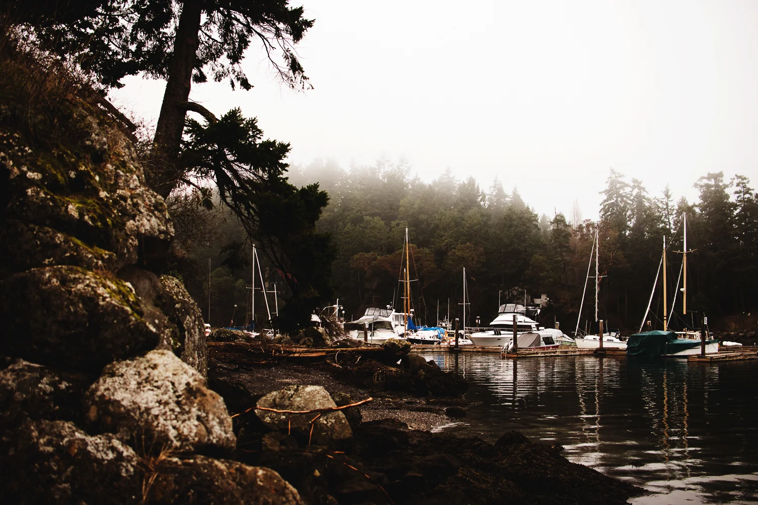 Amber Briglio Photography1_4.jpg