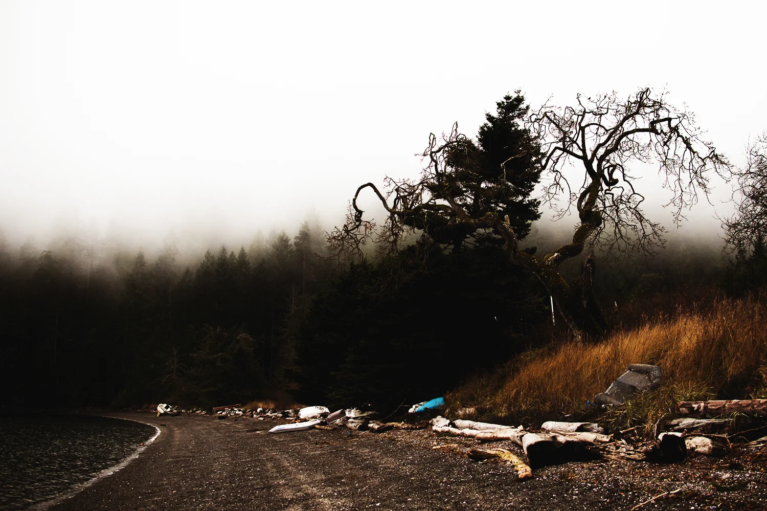 Amber Briglio Photography1_6.jpg
