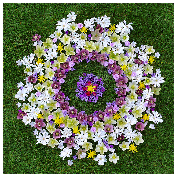 flowerring8x8.jpg