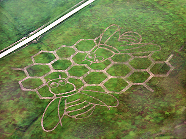 Hummm (15 acres) - 06/21/07
