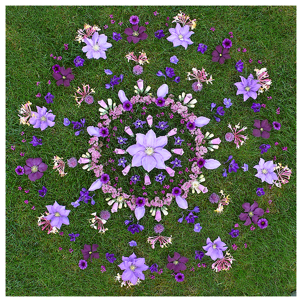 Clematita