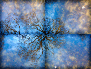 blue.gif