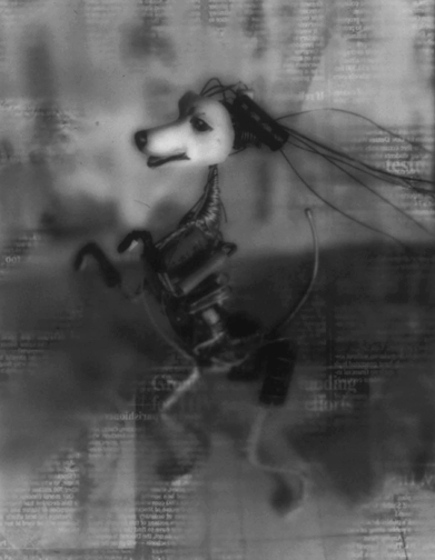 "Electric Dog" by AKV