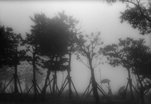  "The Fog" 