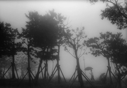 "The Fog"