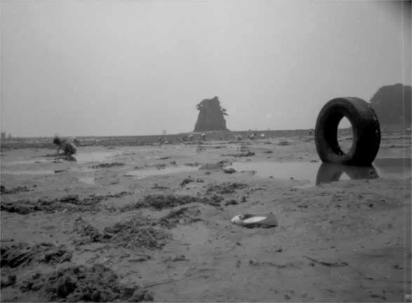 "Digging clams at low tide, Jeju Island"