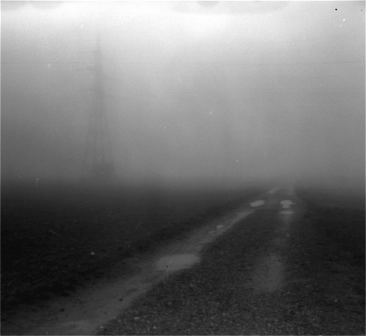 "Fog in a potato field, Stockerau"