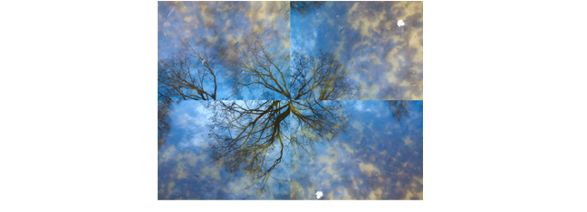 On the verge of winter I discovered an unfinished outdoor swimming pool. I was fascinated by the reflections I could see on the water's surface and it's relationship to what I could also see beneath the surface. Over a period of several weeks I returned to photograph the pool. The result is a series of straight photographs matched together like a puzzle.