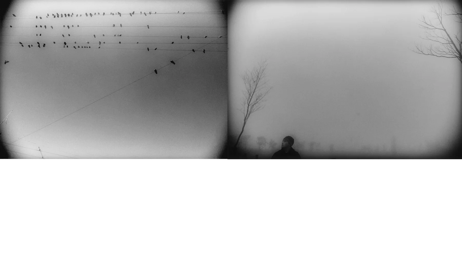 "Birds & Keo"