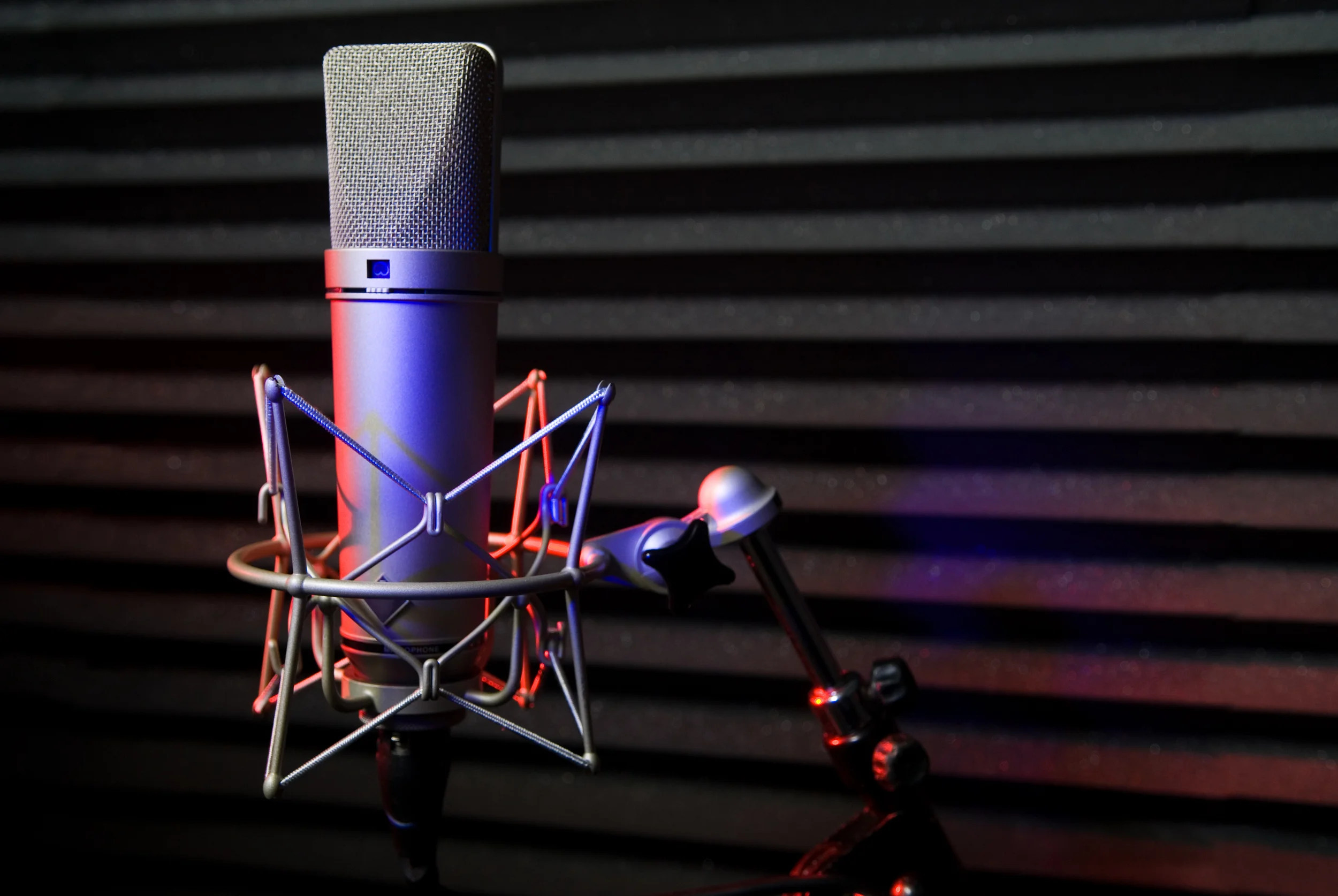mic2.jpg