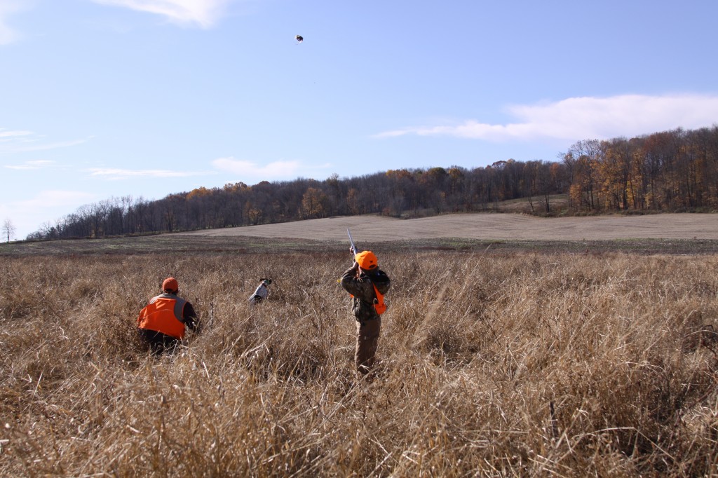 2011-Wadsworth-Pheasant-Hunt-026-1024x682.jpg