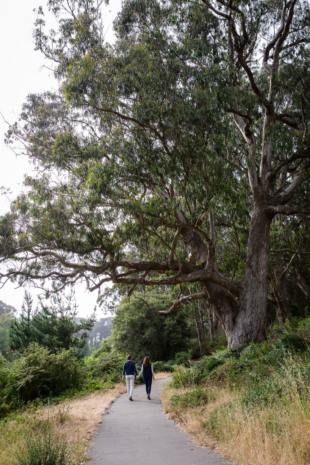 engagementsession.sanfrancisco.emilymerrillweddings.0028.jpg