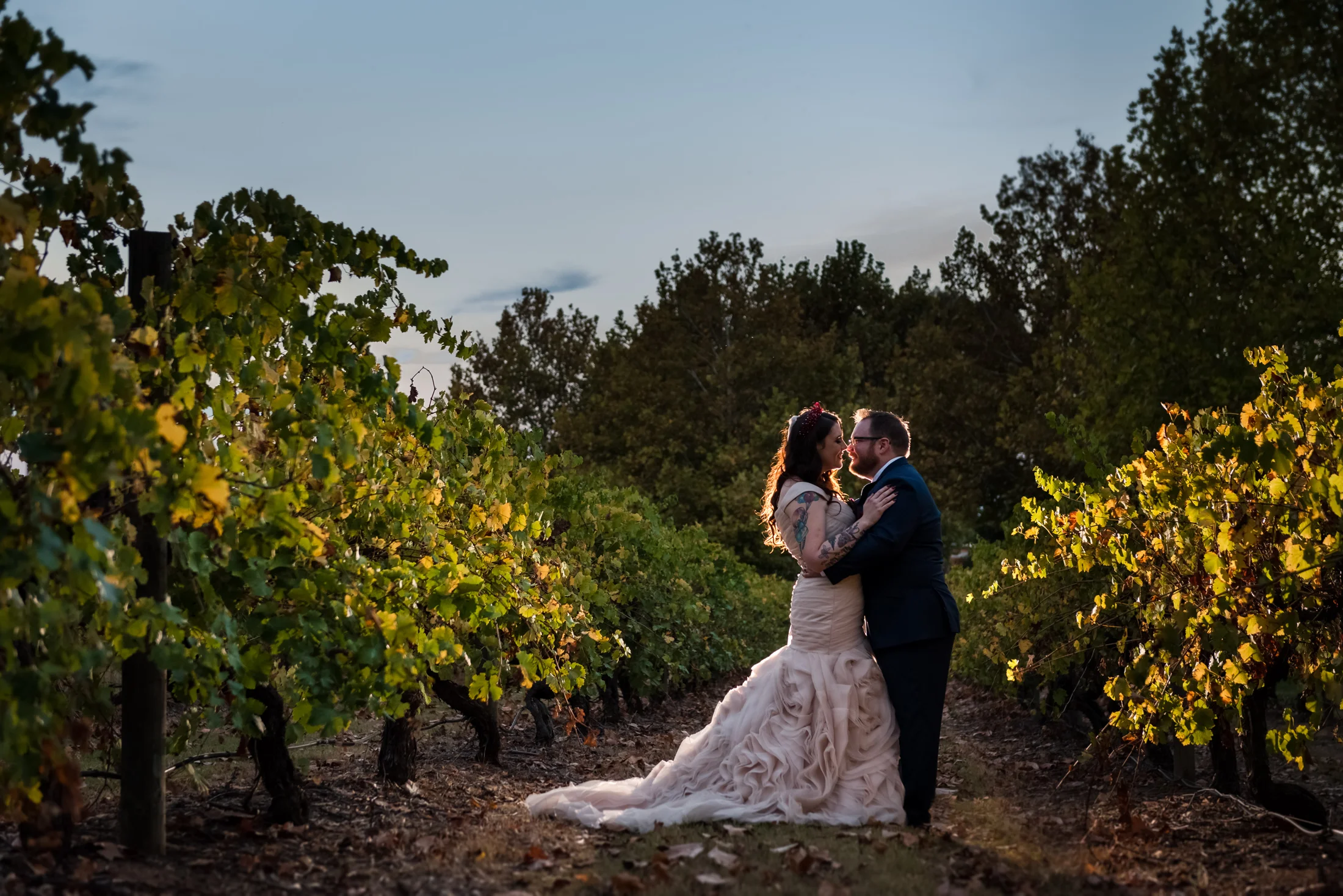 Wedding Portrait Sandalford Wines