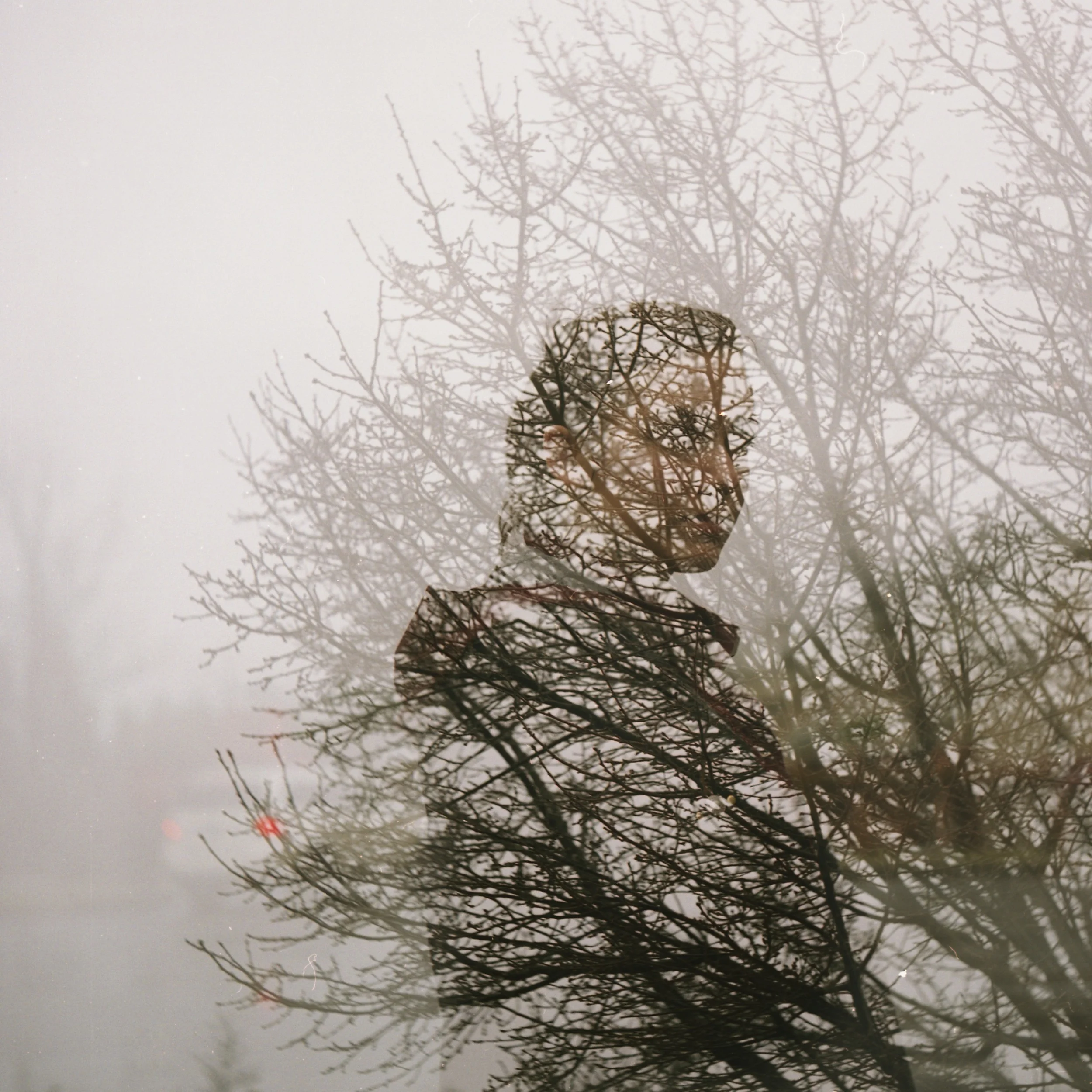 selfportrait.jpg