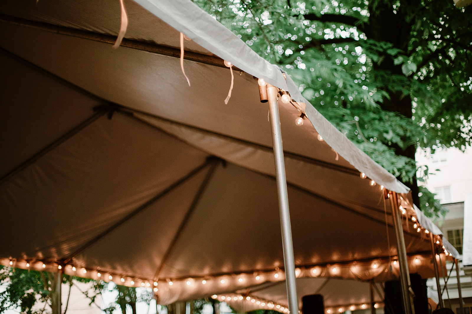 SarahMattozziPhotography-EmilyColin-LindenRowInnWedding-Reception-140.jpg