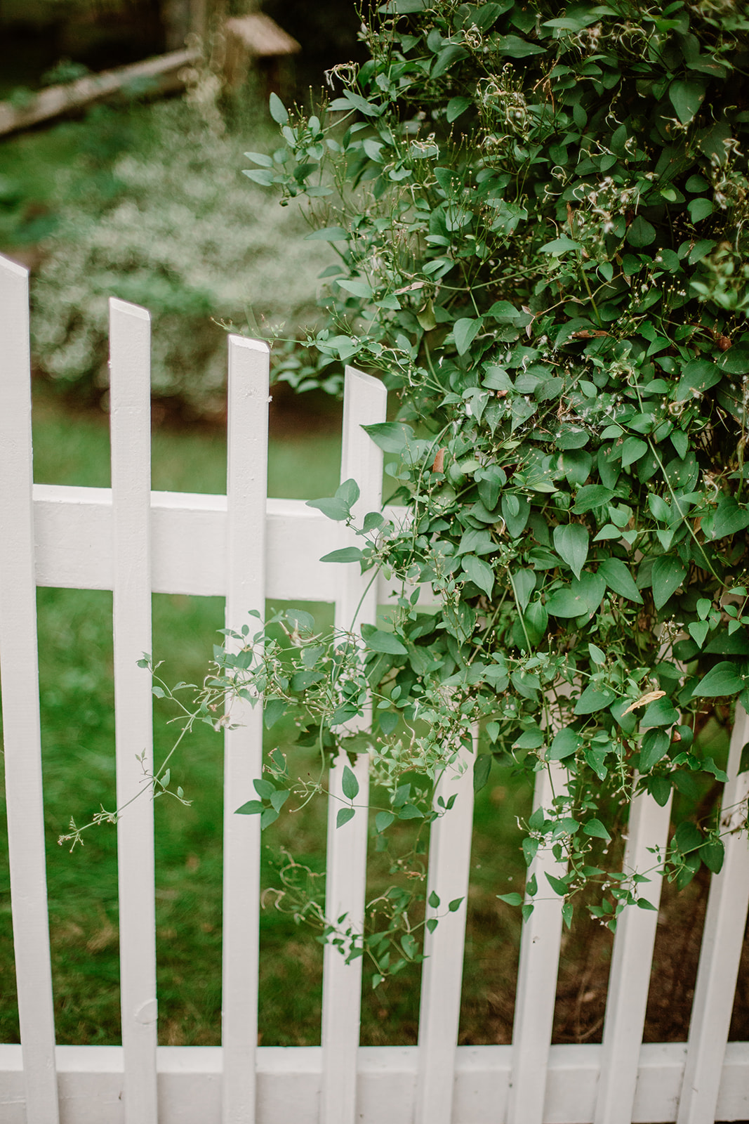 SarahMattozziPhotography-NicoleChris-GlenGardens-GettingReady-16.jpg