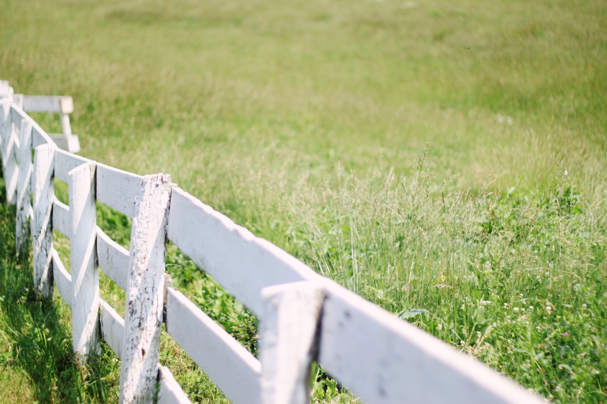 SarahMattozziPhotography-ShenandoahSpringsWedding-Virginia-3.jpg