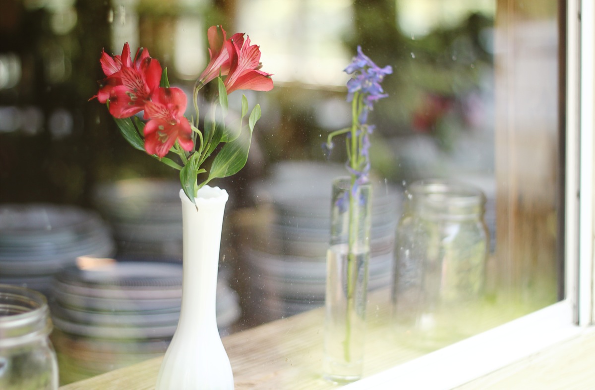 SarahMattozziPhotography-ShenandoahSpringsWedding-Virginia-7.jpg