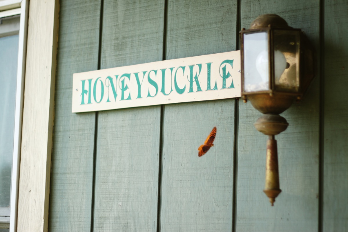 SarahMattozziPhotography-ShenandoahSpringsWedding-Virginia-10.jpg