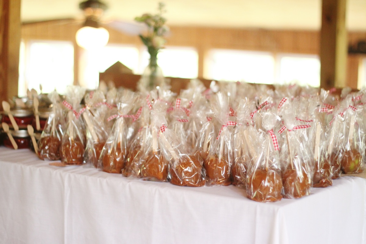 SarahMattozziPhotography-ShenandoahSpringsWedding-Virginia-54.jpg