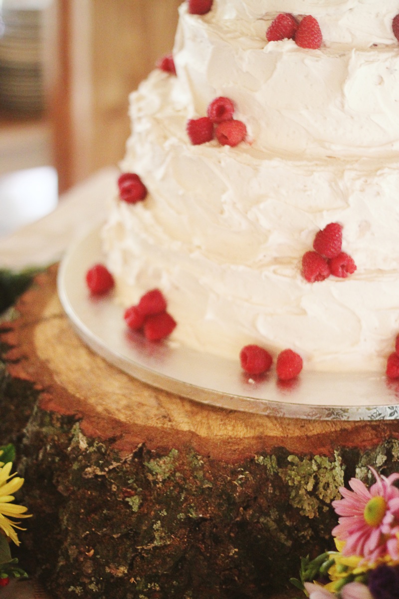 SarahMattozziPhotography-ShenandoahSpringsWedding-Virginia-95.jpg