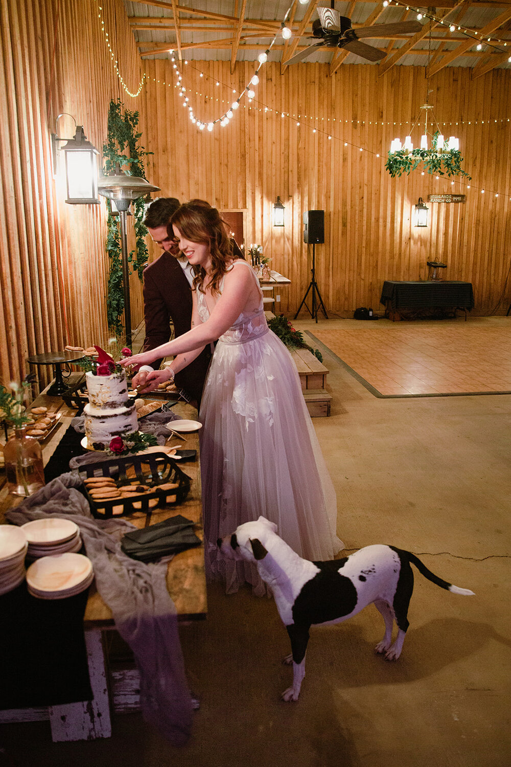 WolftrapFarm-Gordonsville-Wedding-Reception-SarahMattozziPhotography-77.jpg