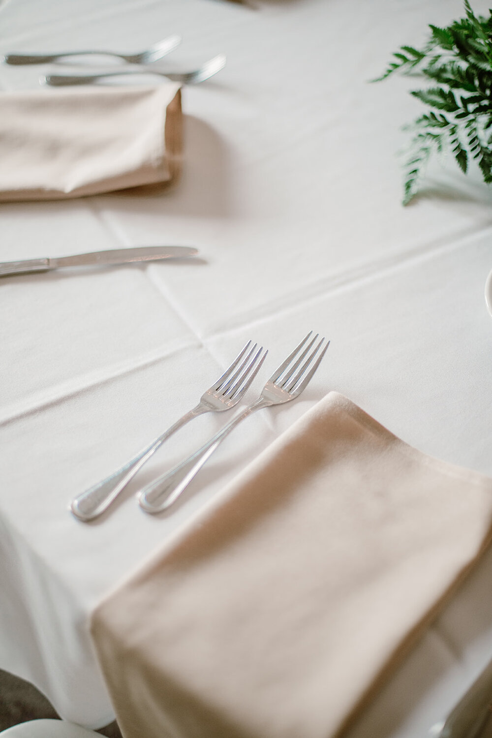  Vegan wedding at the Norfolk Botanical Gardens, Norfolk, VA. Rose garden and plant inspired wedding on the first day of Pride month. Sarah Mattozzi Photography. 