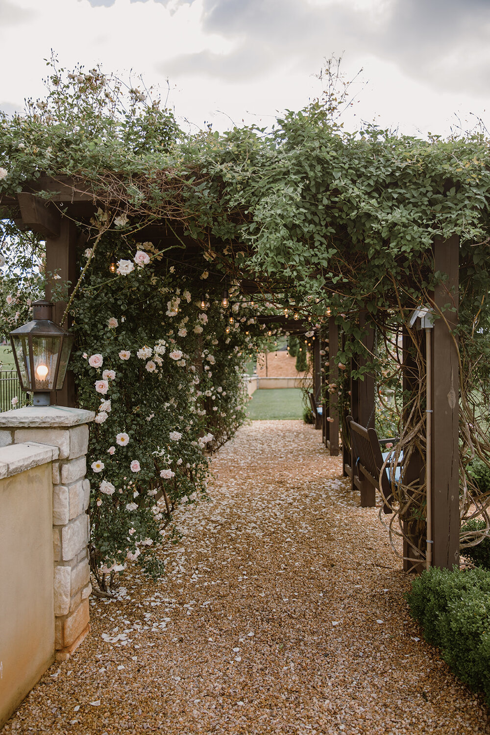  Climbing roses on an arbor tunnel. Intimate Italian villa elopement at Monteventoso in Madison, Virginia. 