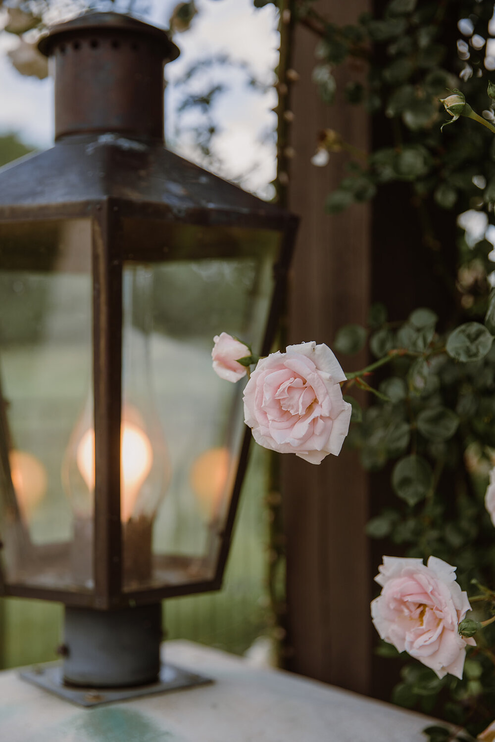  Rose with a lit lantern. Intimate Italian villa elopement at Monteventoso in Madison, Virginia. 