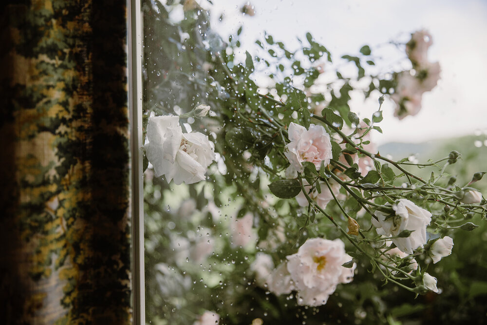  Roses through a window with raindrops. Intimate Italian villa elopement at Monteventoso in Madison, Virginia. 