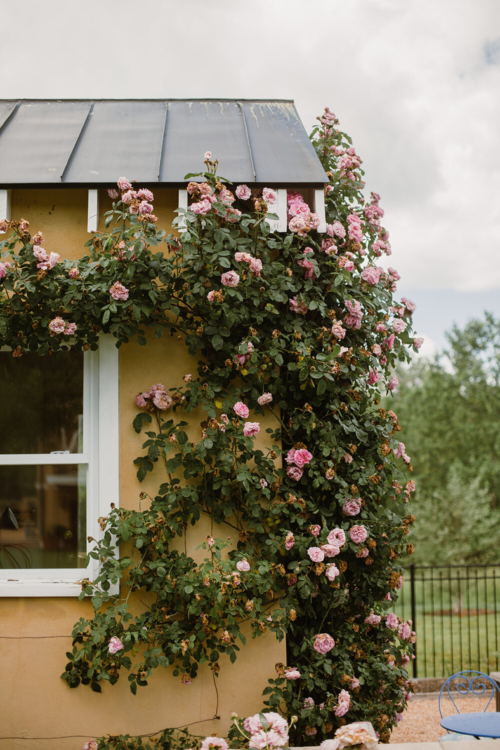  Bride and groom portraits. Intimate Italian villa elopement at Monteventoso in Madison, Virginia. 