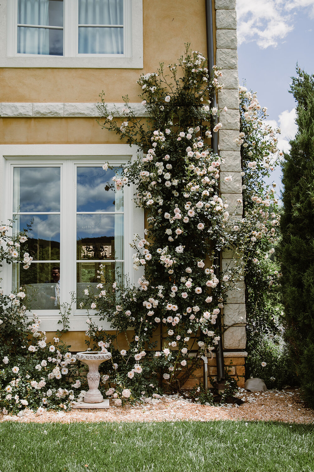  Bride and groom portraits with climbing roses in a garden. Intimate Italian villa elopement at Monteventoso in Madison, Virginia. 