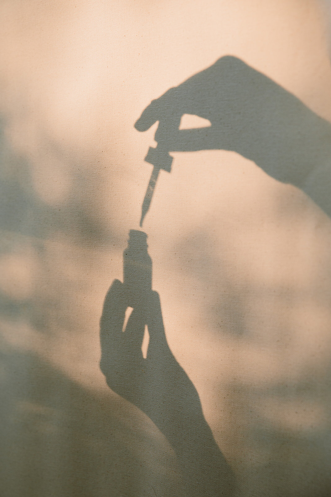  Eyedropper for oils | Be Mindful Skincare | Sarah Mattozzi Photography 