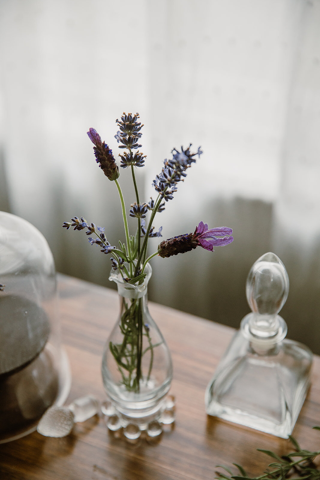  French lavender in glass bud vase | Be Mindful Skincare | Sarah Mattozzi Photography 