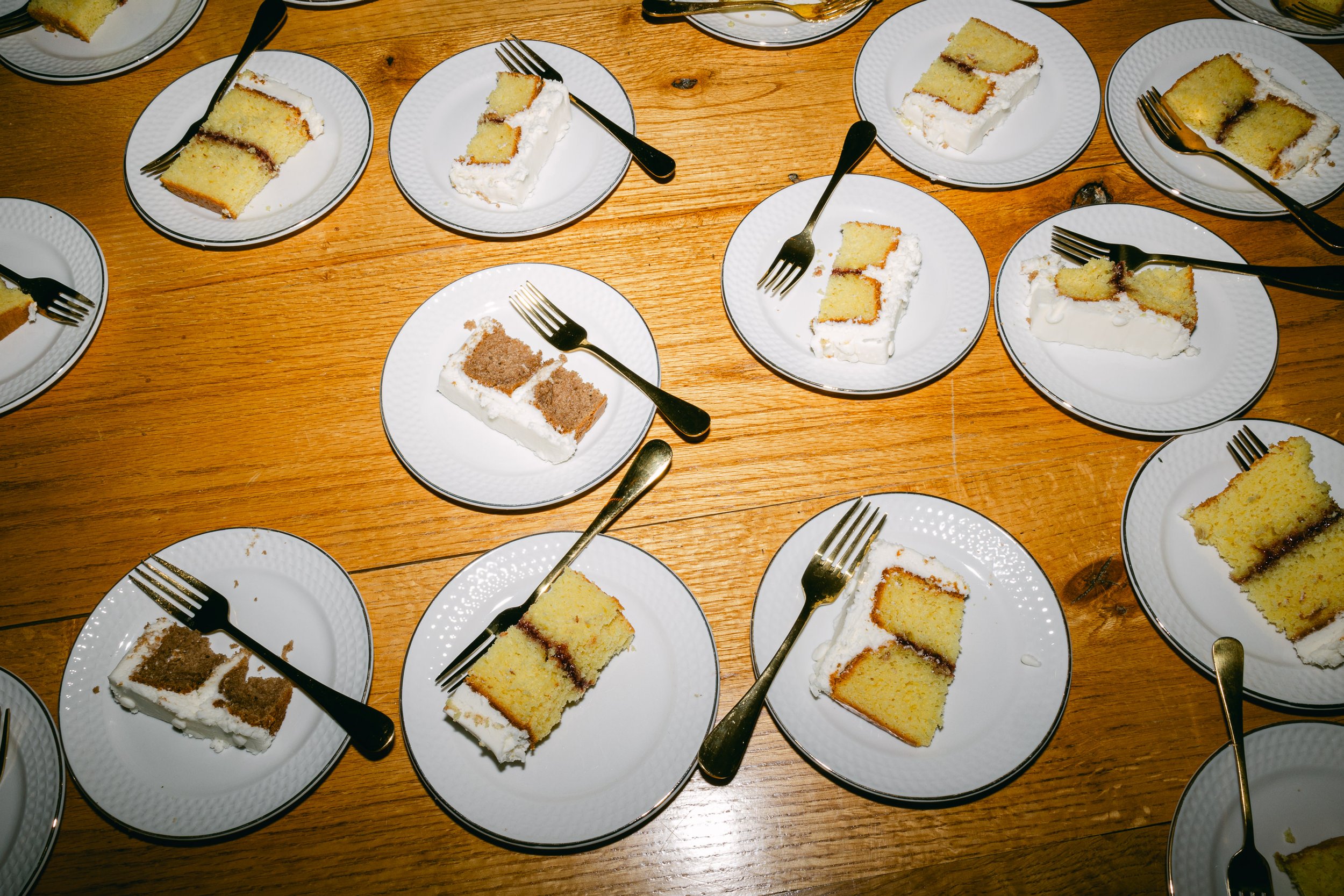 SarahMattozziPhotography-TheSeclusion-LexingtonVA-Wedding-141.jpg