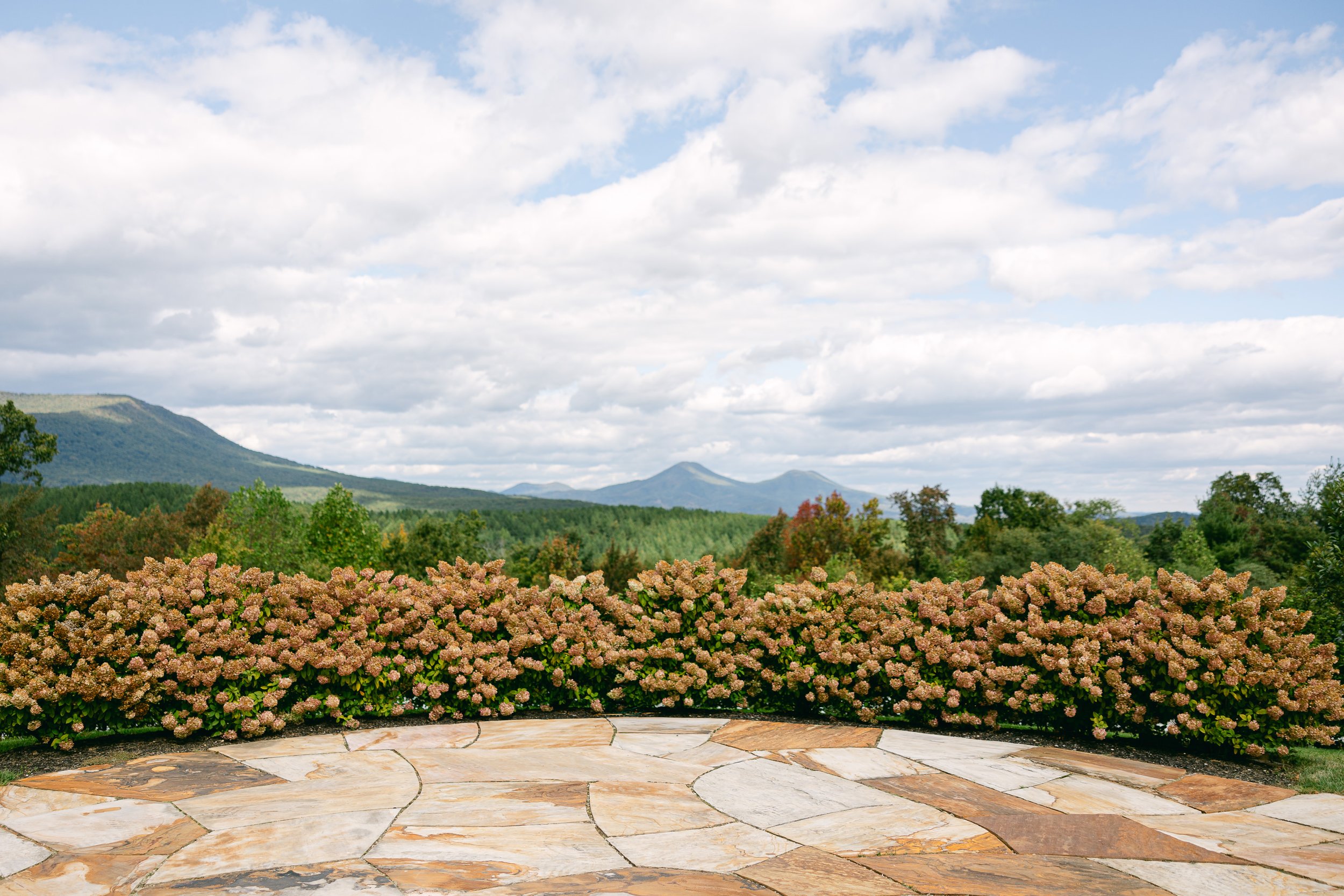 SarahMattozziPhotography-TheSeclusion-LexingtonVA-Wedding-9.jpg