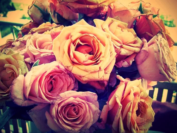 I want to but I can’t afford to ______ (fill in the blank)