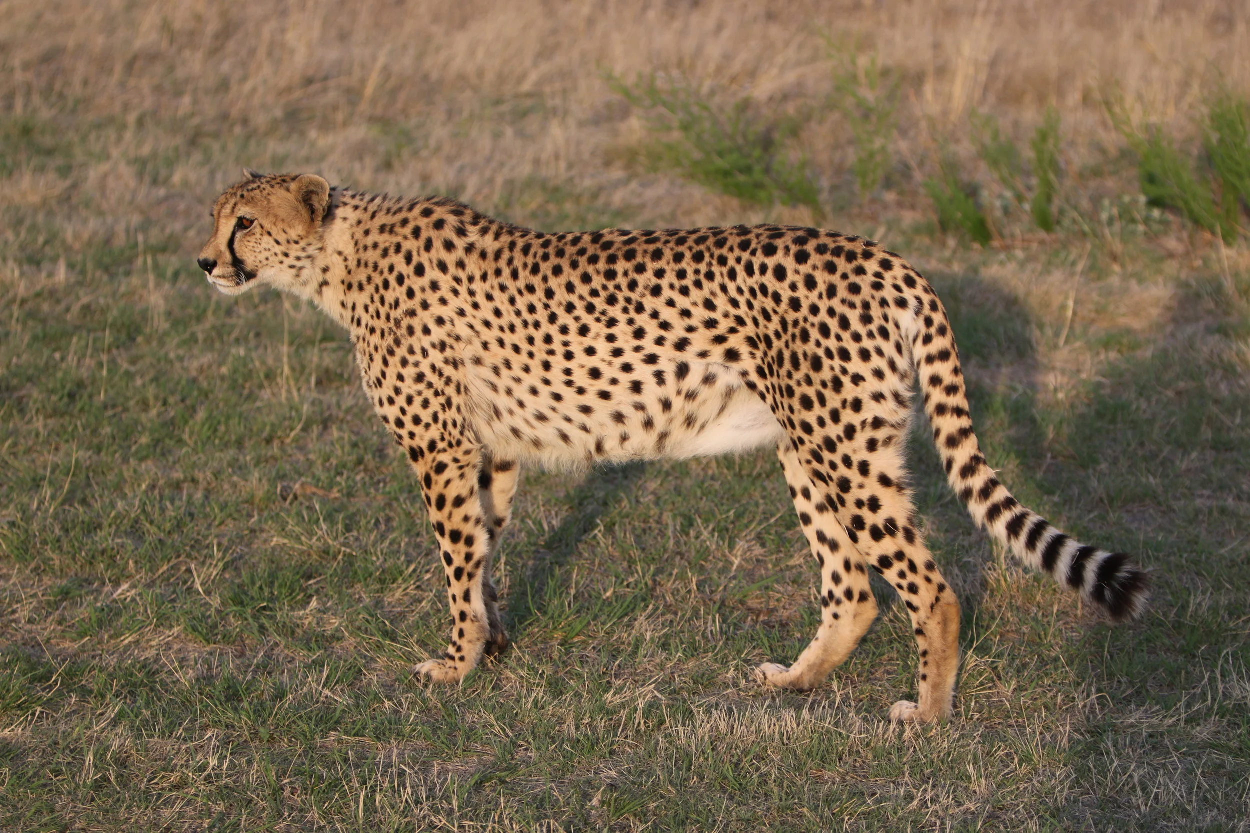 Fotos deur Brendon geneem  (65).JPG