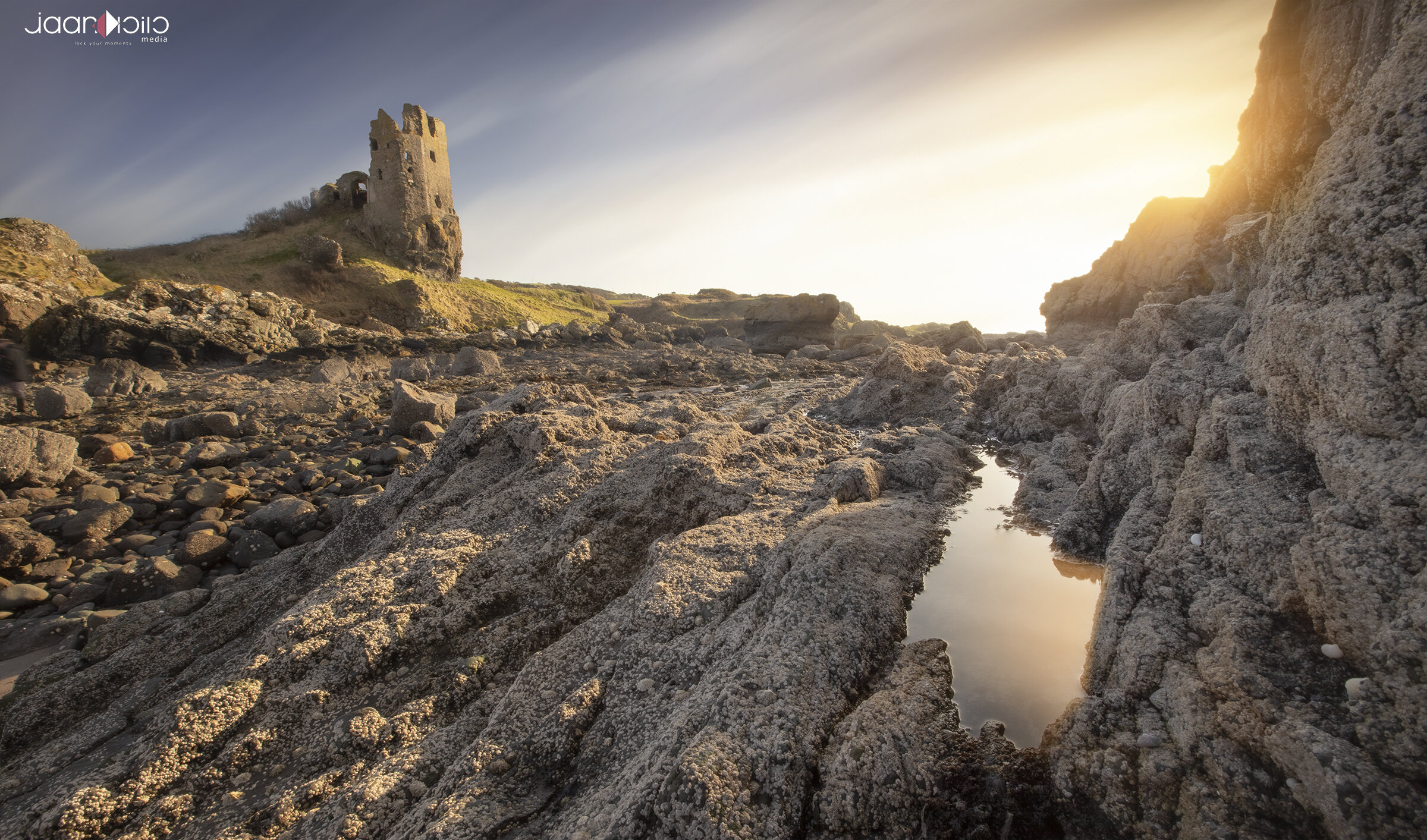 Ayr Danure Castle net.jpg