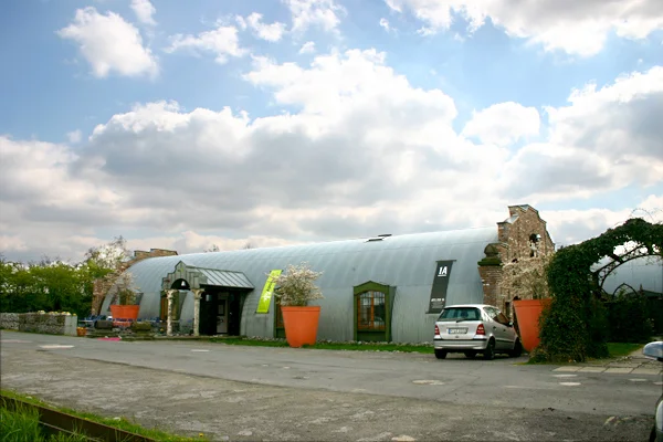 Halle-1.jpg